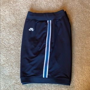 Nike SB Future Court Shorts